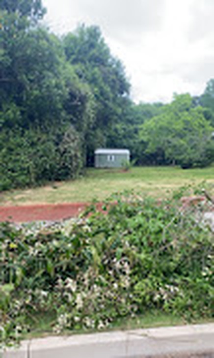 Lawn care and hauling project
